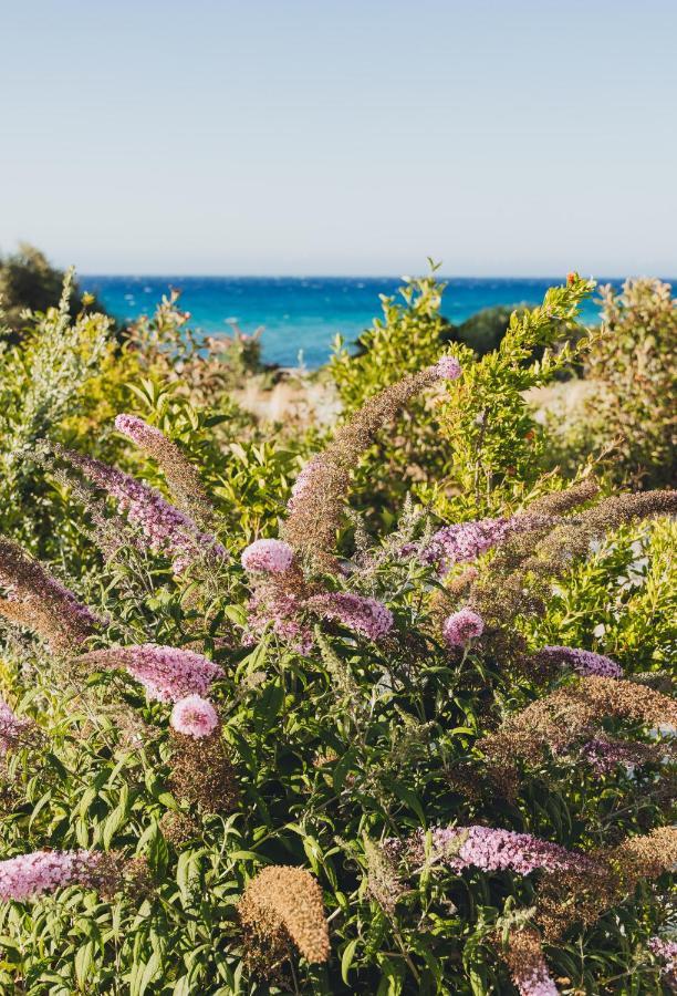 Casa Paradisu LʼÎle-Rousse Zewnętrze zdjęcie